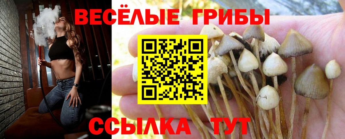 Галлюциногенные грибы ЛСД  Псилоцибиновые грибы ЛСД  Вход с VPN  Можайск 